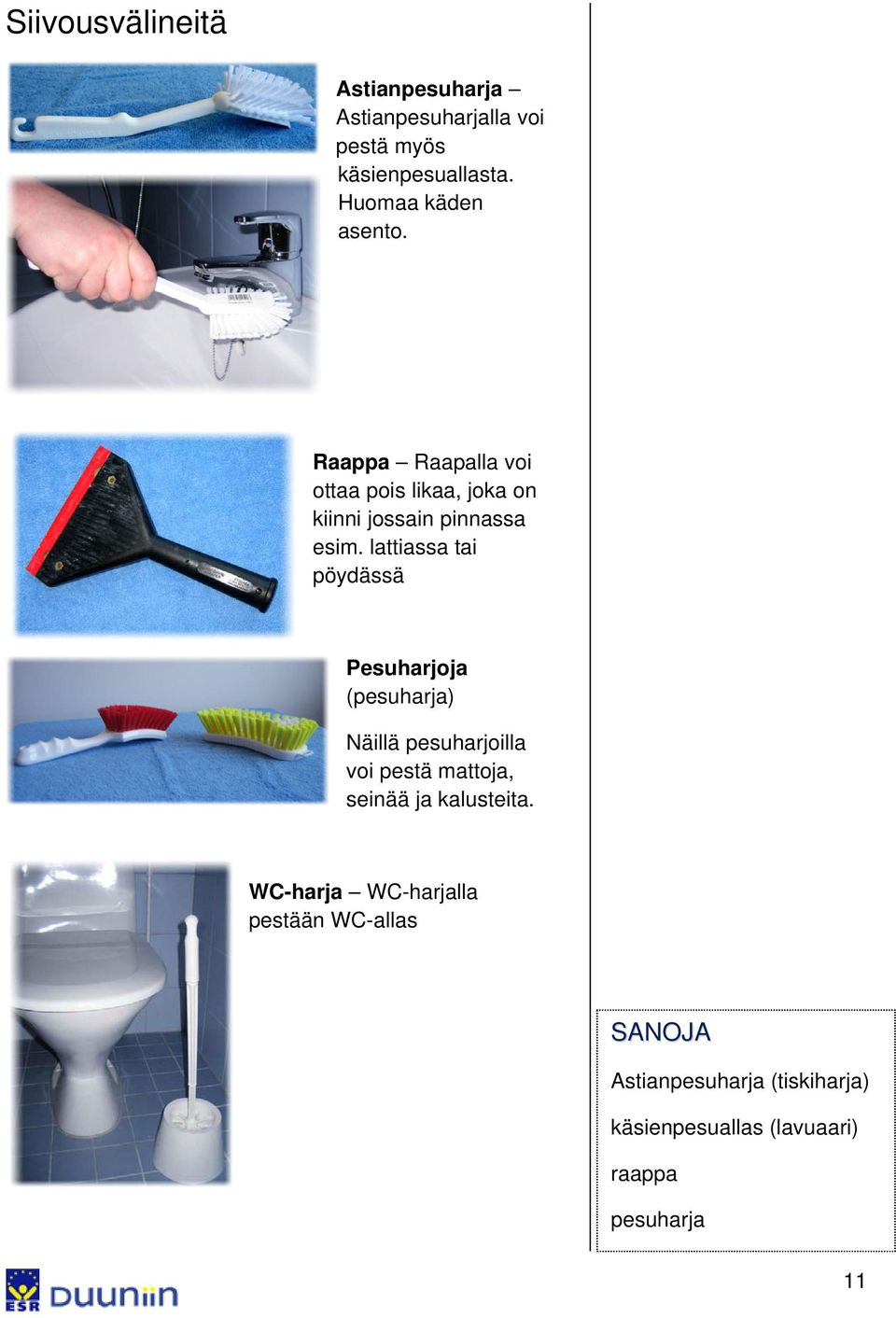 lattiassa tai pöydässä Pesuharjoja (pesuharja) Näillä pesuharjoilla voi pestä mattoja, seinää ja