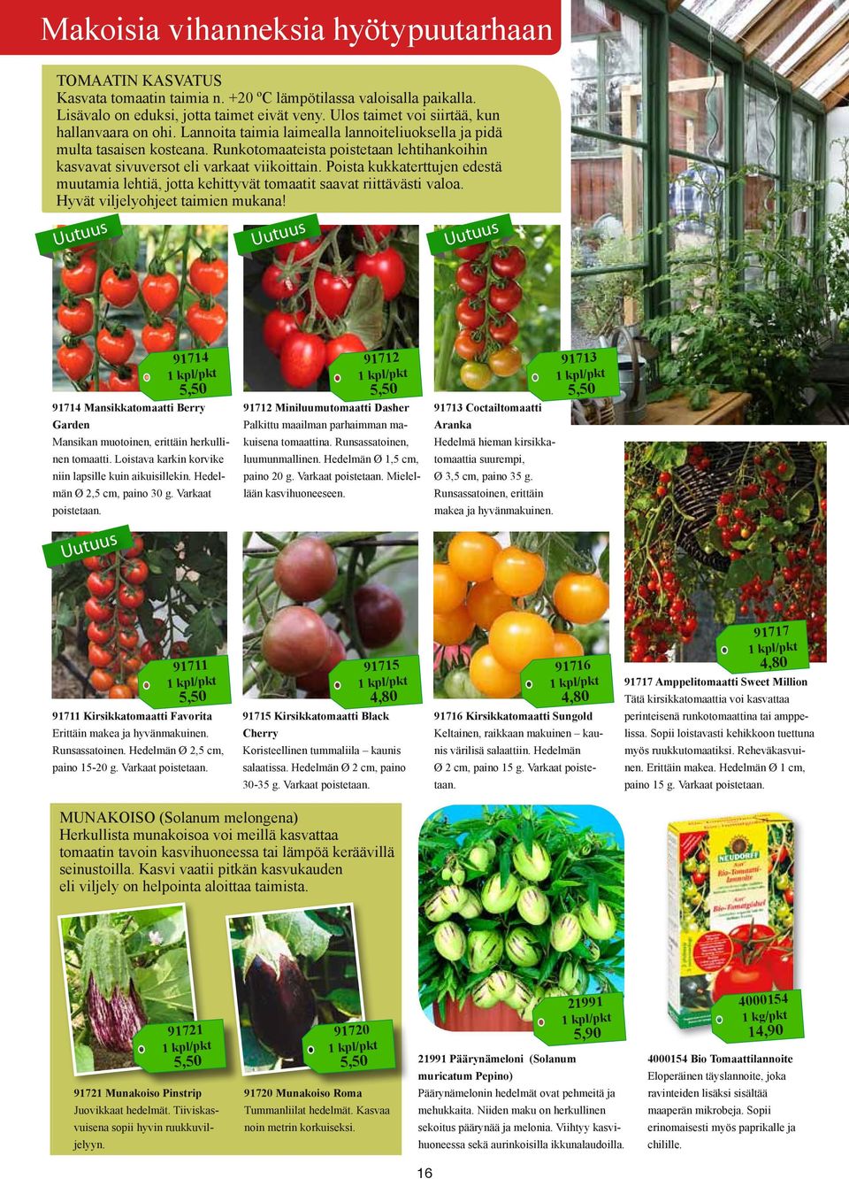 Runkotomaateista poistetaan lehtihankoihin kasvavat sivuversot eli varkaat viikoittain. Poista kukkaterttujen edestä muutamia lehtiä, jotta kehittyvät tomaatit saavat riittävästi valoa.