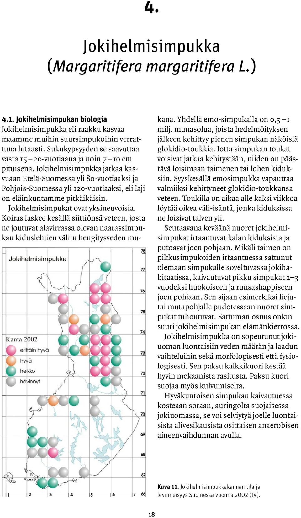 Jokihelmisimpukka jatkaa kasvuaan Etelä-Suomessa yli 80-vuotiaaksi ja Pohjois-Suomessa yli 120-vuotiaaksi, eli laji on eläinkuntamme pitkäikäisin. Jokihelmisimpukat ovat yksineuvoisia.