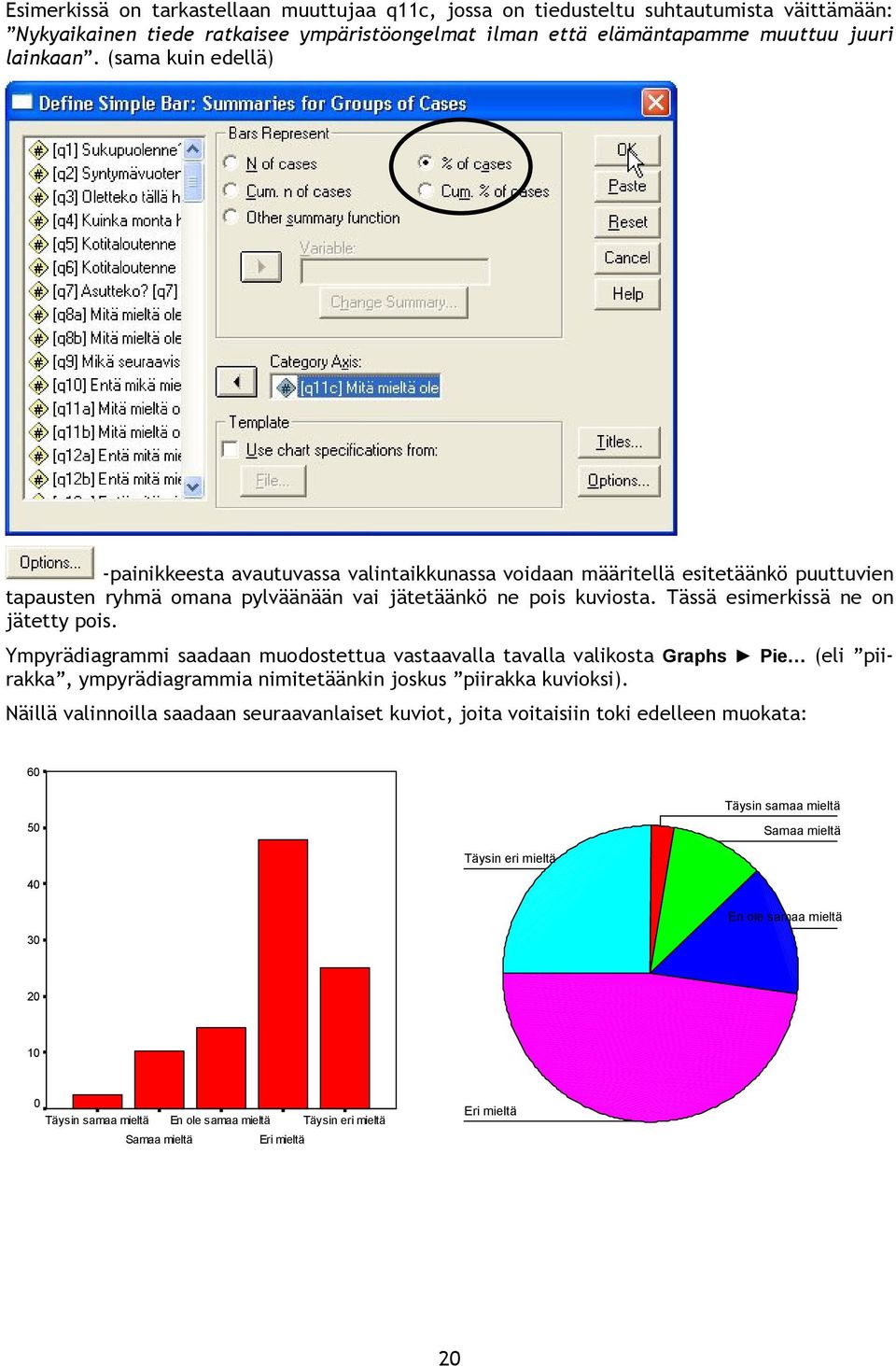 Tässä esimerkissä ne on jätetty pois. Ympyrädiagrammi saadaan muodostettua vastaavalla tavalla valikosta Graphs Pie (eli piirakka, ympyrädiagrammia nimitetäänkin joskus piirakka kuvioksi).