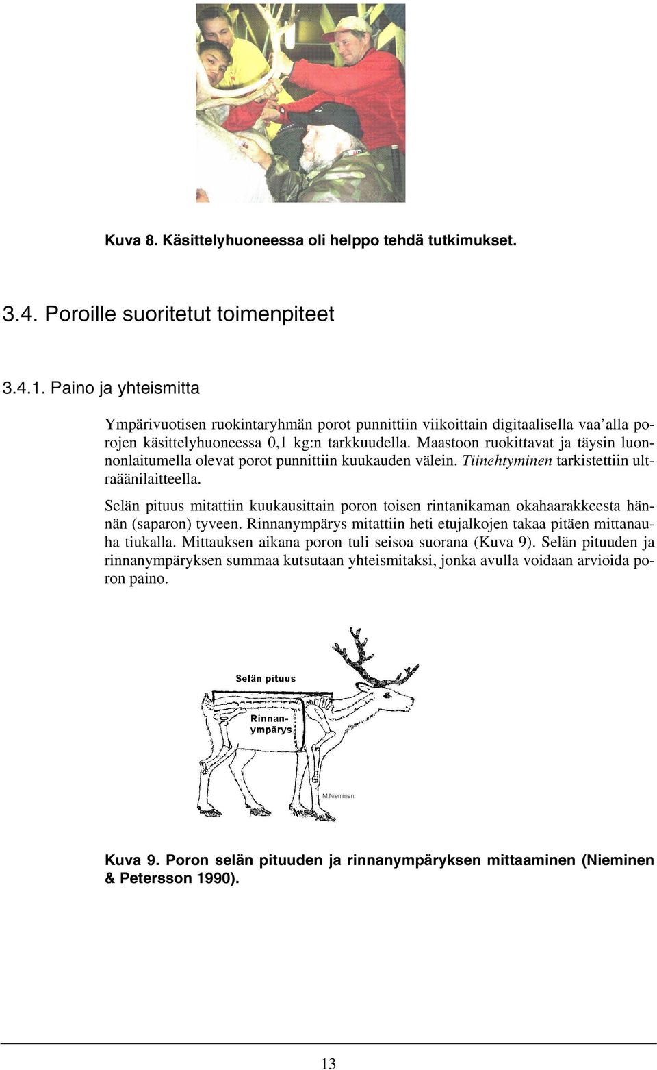 Maastoon ruokittavat ja täysin luonnonlaitumella olevat porot punnittiin kuukauden välein. Tiinehtyminen tarkistettiin ultraäänilaitteella.