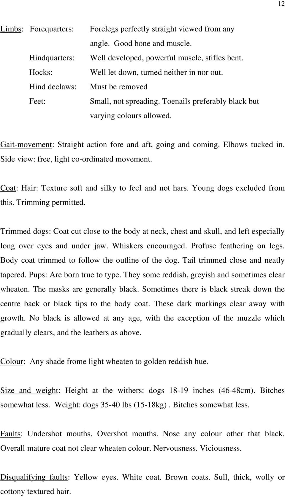 Elbows tucked in. Side view: free, light co-ordinated movement. Coat: Hair: Texture soft and silky to feel and not hars. Young dogs excluded from this. Trimming permitted.