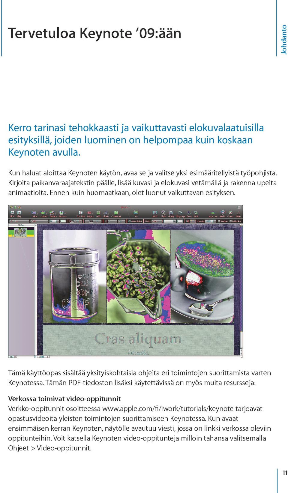 Ennen kuin huomaatkaan, olet luonut vaikuttavan esityksen. Tämä käyttöopas sisältää yksityiskohtaisia ohjeita eri toimintojen suorittamista varten Keynotessa.