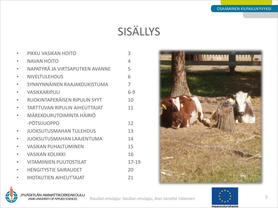 12 JUOKSUTUSMAHAN TULEHDUS 13 JUOKSUTUSMAHAN LAAJENTUMA 14 VASIKAN PUHALTUMINEN 15 VASIKAN KOLIIKKI 16 VITAMIINIEN