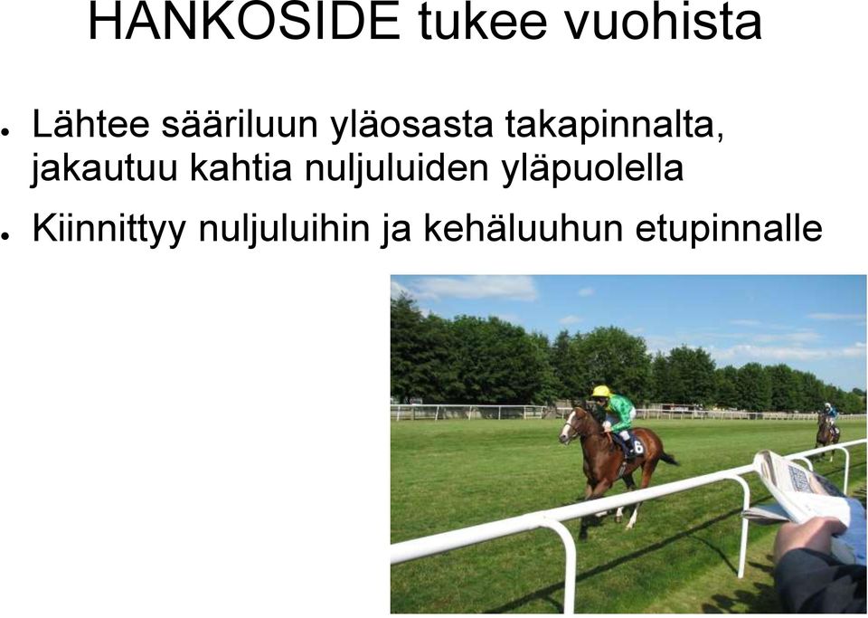 jakautuu kahtia nuljuluiden