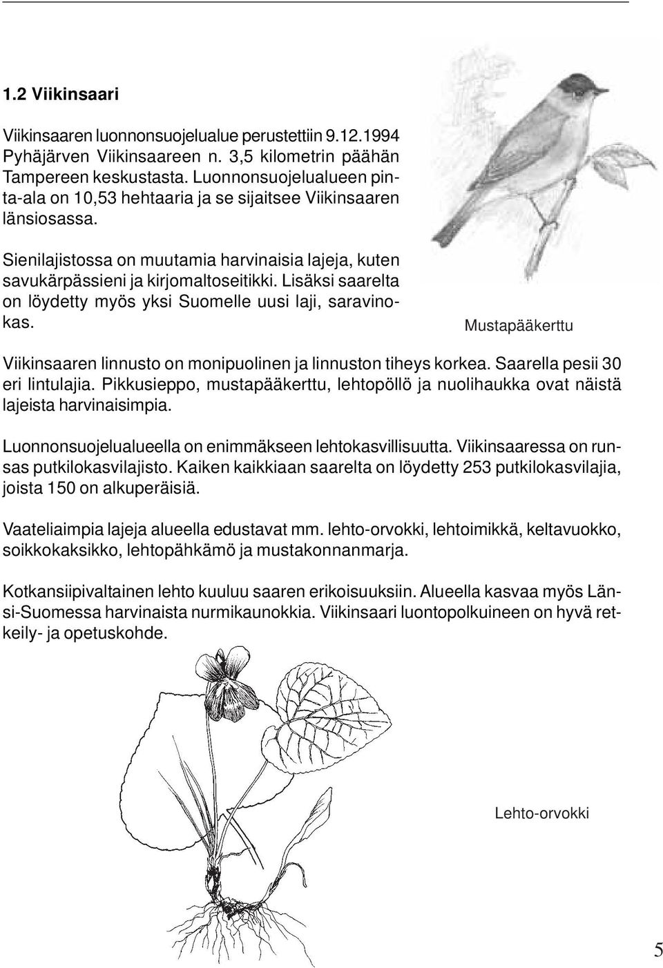 Lisäksi saarelta on löydetty myös yksi Suomelle uusi laji, saravinokas. Mustapääkerttu Viikinsaaren linnusto on monipuolinen ja linnuston tiheys korkea. Saarella pesii 30 eri lintulajia.