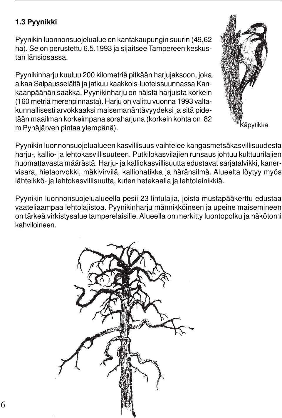 Pyynikinharju on näistä harjuista korkein (160 metriä merenpinnasta).