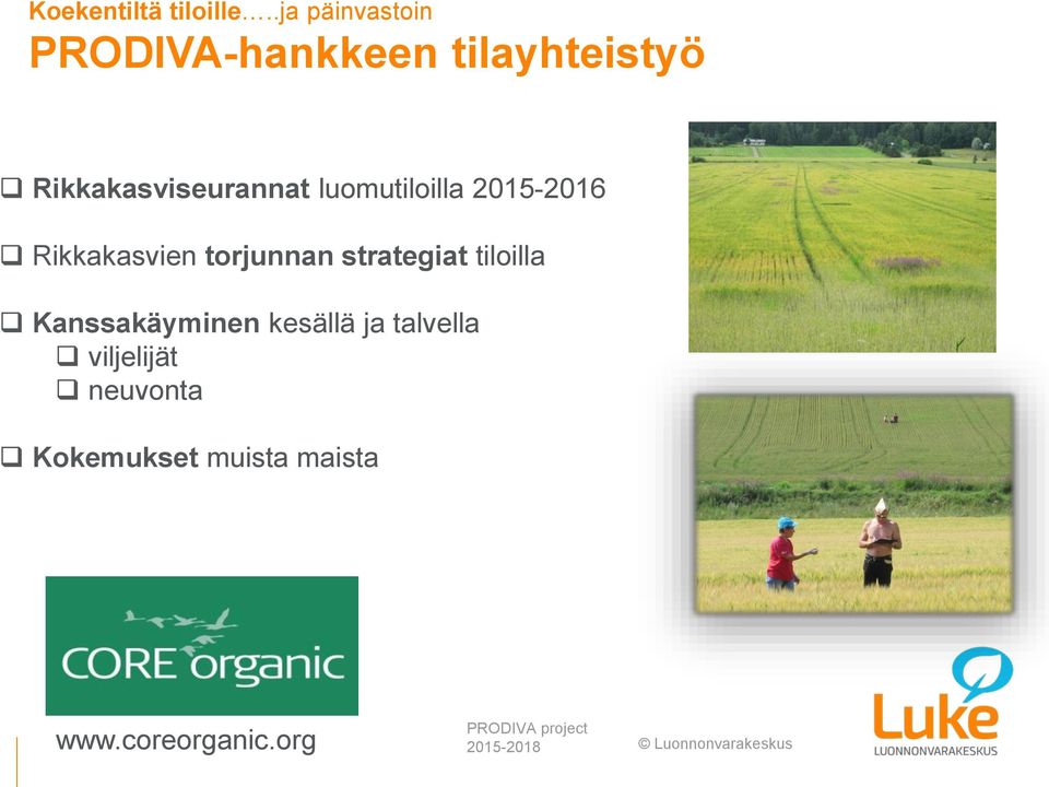 luomutiloilla 2015-2016 Rikkakasvien torjunnan strategiat tiloilla