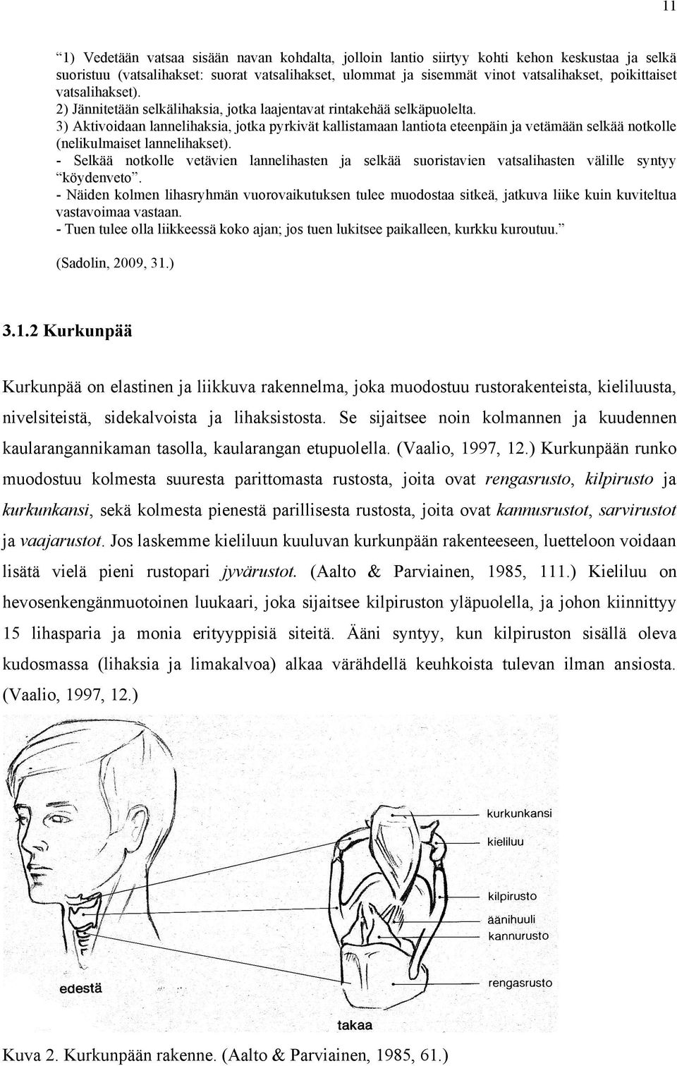 3) Aktivoidaan lannelihaksia, jotka pyrkivät kallistamaan lantiota eteenpäin ja vetämään selkää notkolle (nelikulmaiset lannelihakset).