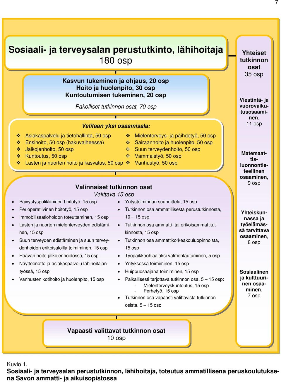 osat Valittava 15 osp Mielenterveys- ja päihdetyö, 50 osp Sairaanhoito ja huolenpito, 50 osp Suun terveydenhoito, 50 osp Vammaistyö, 50 osp Vanhustyö, 50 osp Päivystyspolikliininen hoitotyö, 15 osp