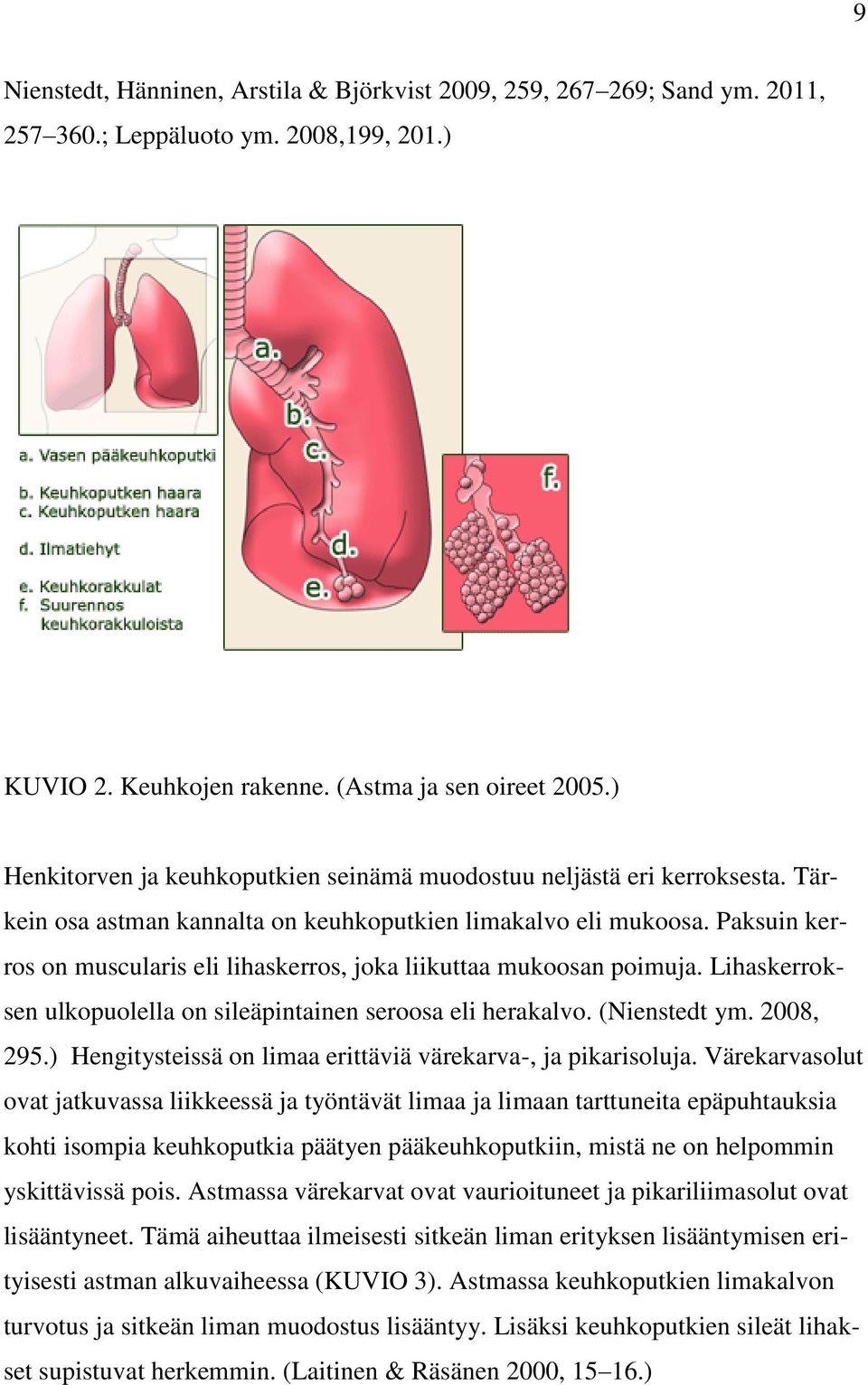 Paksuin kerros on muscularis eli lihaskerros, joka liikuttaa mukoosan poimuja. Lihaskerroksen ulkopuolella on sileäpintainen seroosa eli herakalvo. (Nienstedt ym. 2008, 295.