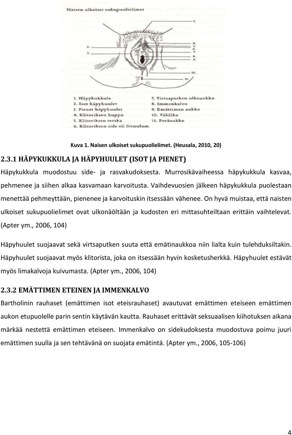 On hyvä muistaa, että naisten ulkoiset sukupuolielimet ovat ulkonäöltään ja kudosten eri mittasuhteiltaan erittäin vaihtelevat. (Apter ym.