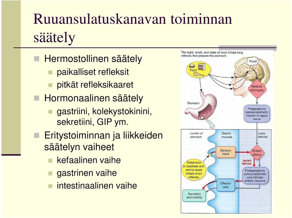 gastriini, kolekystokinini, sekretiini, GIP ym.