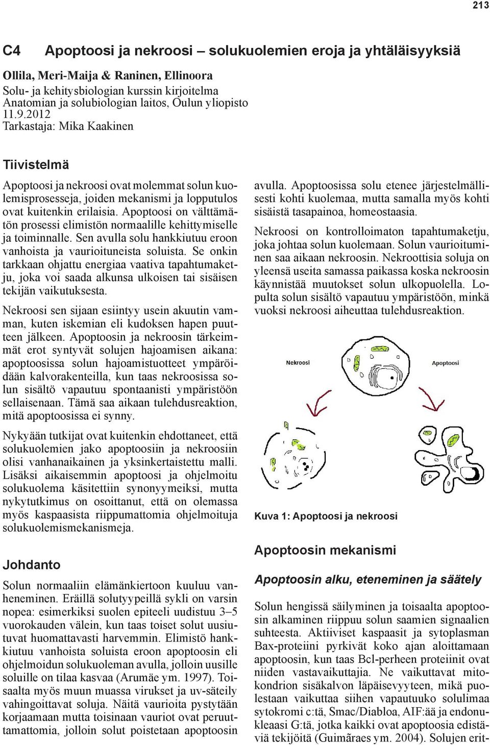 Apoptoosi on välttämätön prosessi elimistön normaalille kehittymiselle ja toiminnalle. Sen avulla solu hankkiutuu eroon vanhoista ja vaurioituneista soluista.