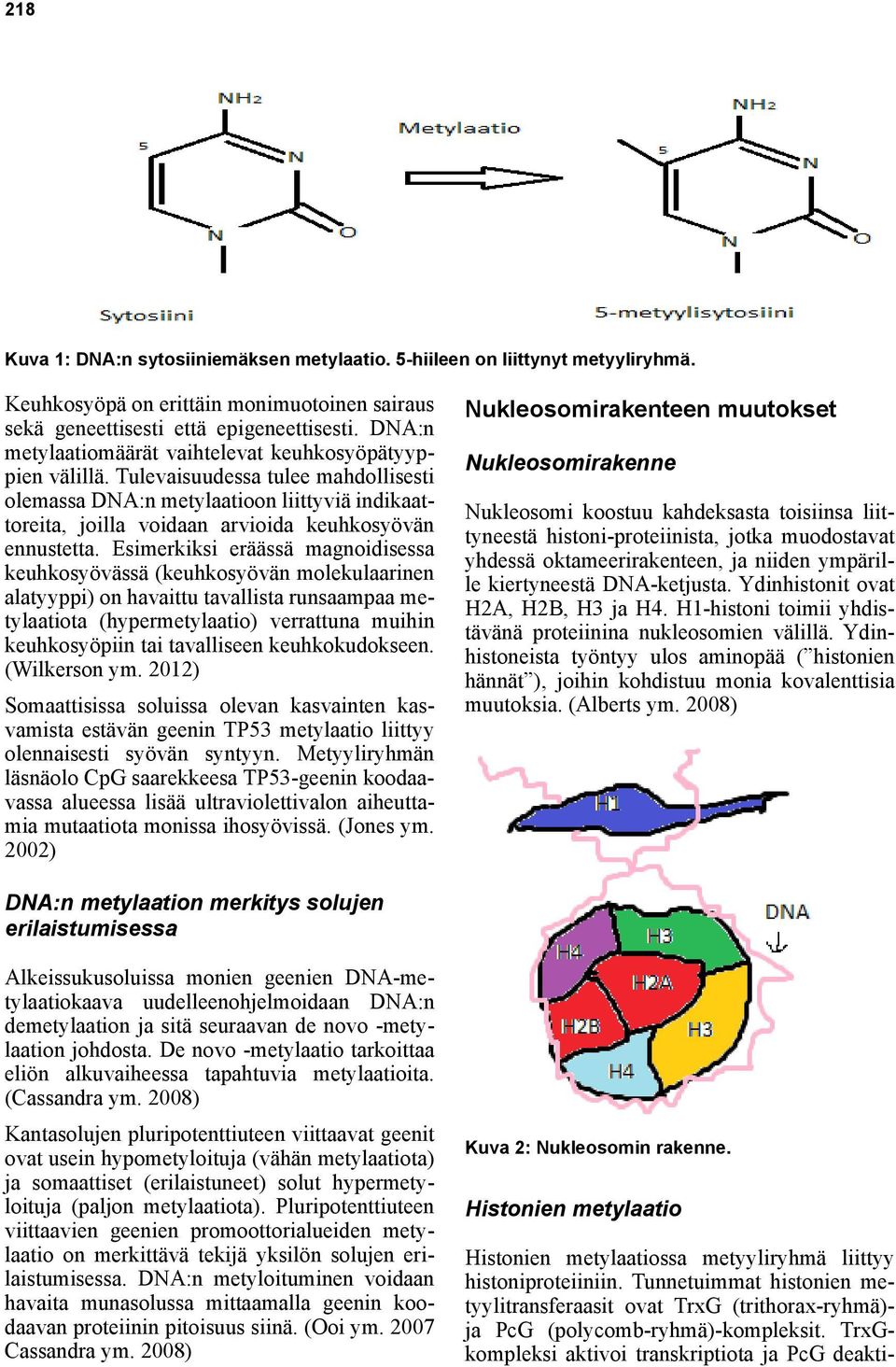 Tulevaisuudessa tulee mahdollisesti olemassa DNA:n metylaatioon liittyviä indikaattoreita, joilla voidaan arvioida keuhkosyövän ennustetta.
