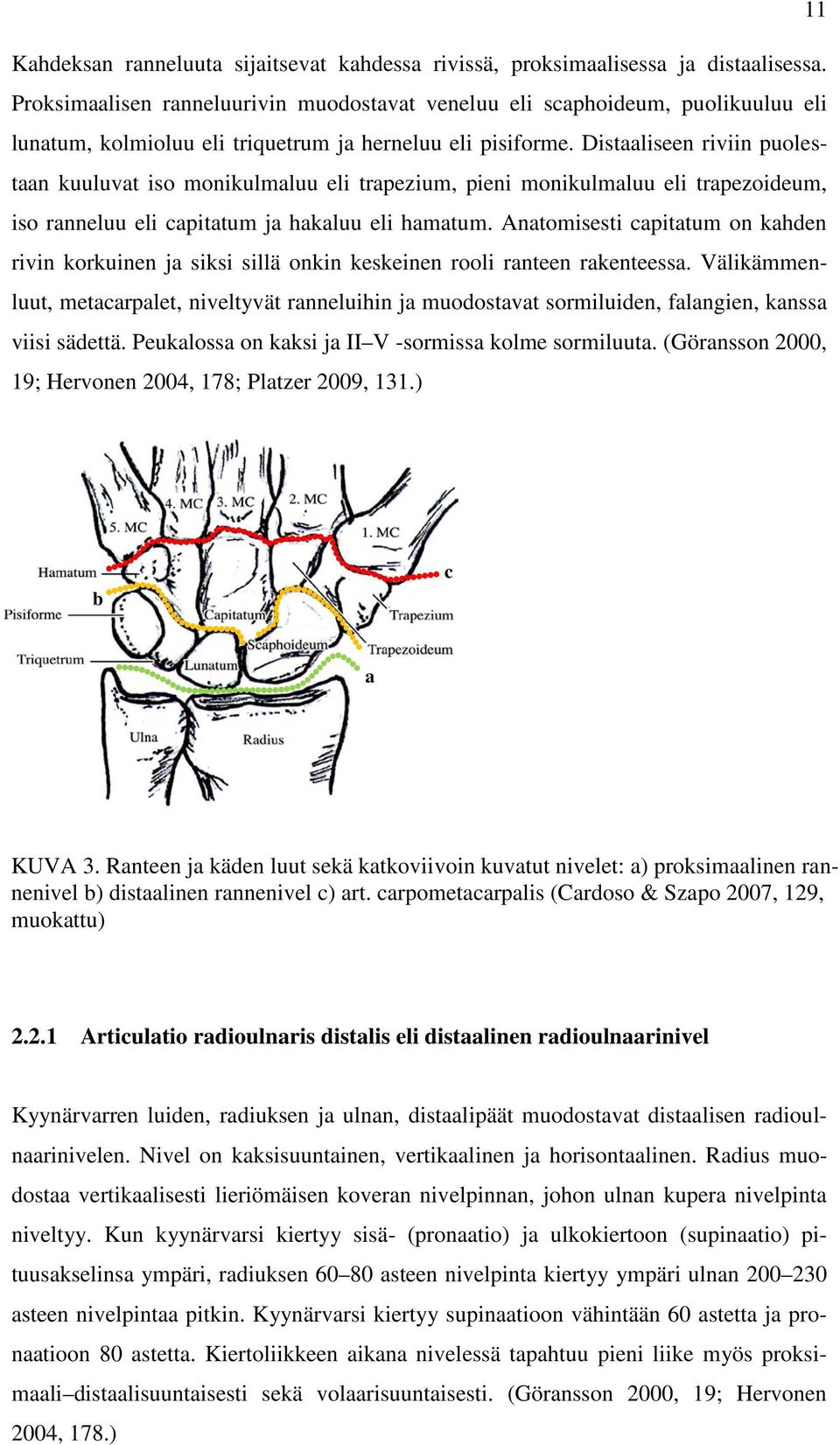 Distaaliseen riviin puolestaan kuuluvat iso monikulmaluu eli trapezium, pieni monikulmaluu eli trapezoideum, iso ranneluu eli capitatum ja hakaluu eli hamatum.