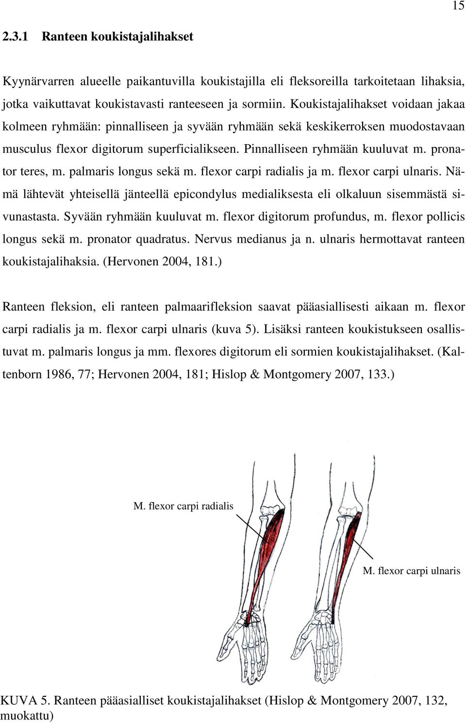 pronator teres, m. palmaris longus sekä m. flexor carpi radialis ja m. flexor carpi ulnaris. Nämä lähtevät yhteisellä jänteellä epicondylus medialiksesta eli olkaluun sisemmästä sivunastasta.