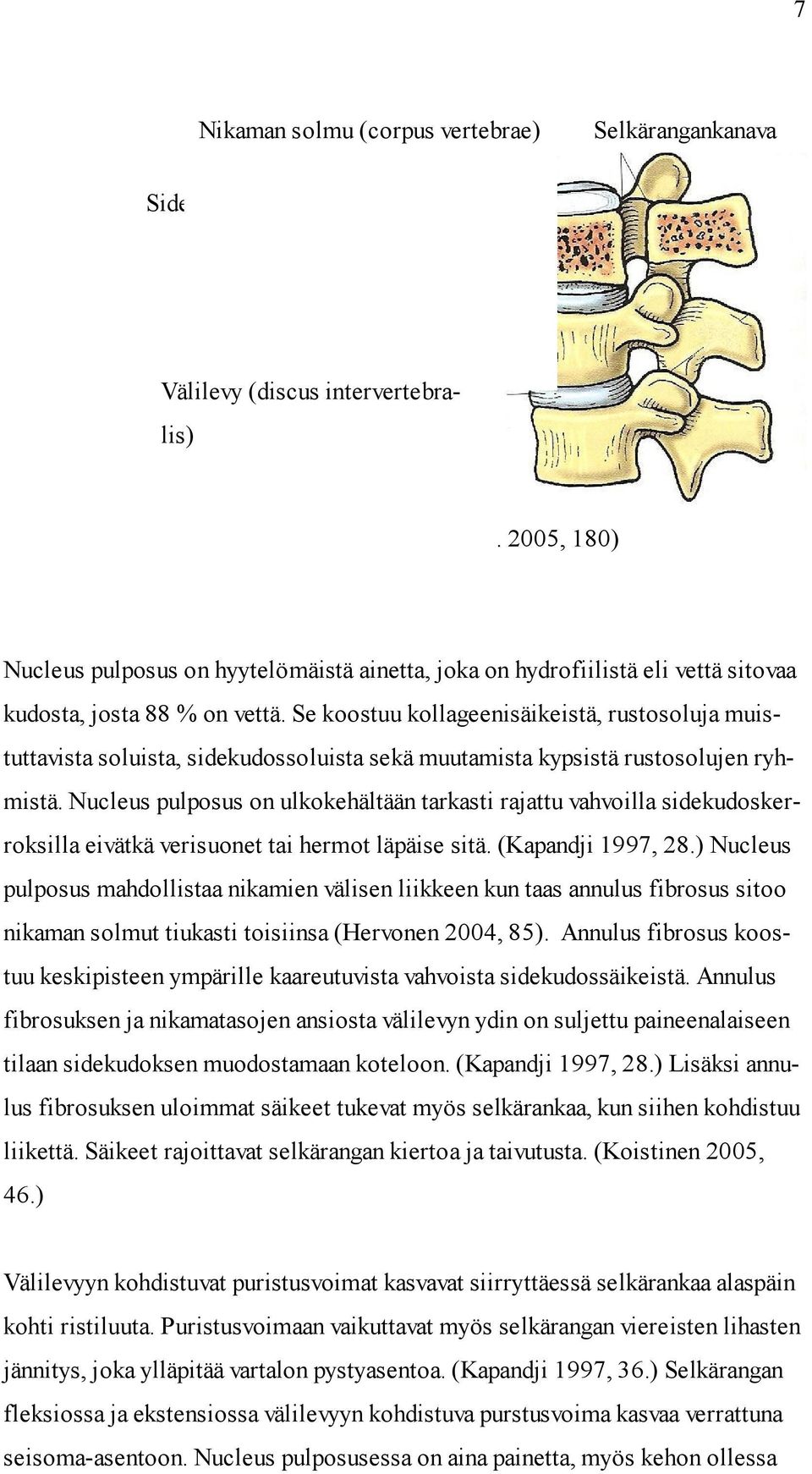 Se koostuu kollageenisäikeistä, rustosoluja muistuttavista soluista, sidekudossoluista sekä muutamista kypsistä rustosolujen ryhmistä.