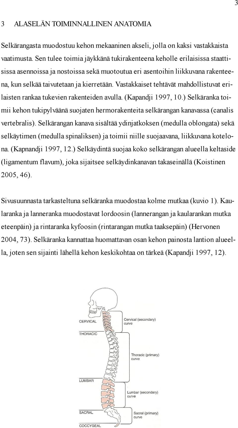 Vastakkaiset tehtävät mahdollistuvat erilaisten rankaa tukevien rakenteiden avulla. (Kapandji 1997, 10.