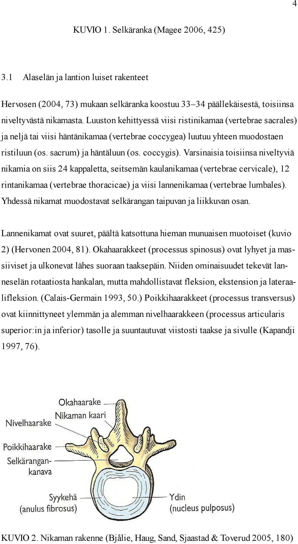 Varsinaisia toisiinsa niveltyviä nikamia on siis 24 kappaletta, seitsemän kaulanikamaa (vertebrae cervicale), 12 rintanikamaa (vertebrae thoracicae) ja viisi lannenikamaa (vertebrae lumbales).