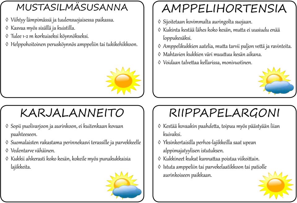 Mahtavien kukkien väri muuttuu kesän aikana. Voidaan talvettaa kellarissa, monivuotinen. KARJALANNEITO Sopii puolivarjoon ja aurinkoon, ei kuitenkaan kovaan paahteeseen.