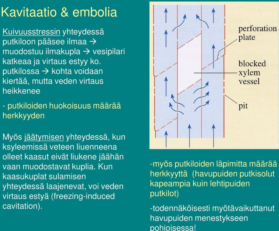 liuenneena olleet kaasut eivät liukene jäähän vaan muodostavat kuplia.