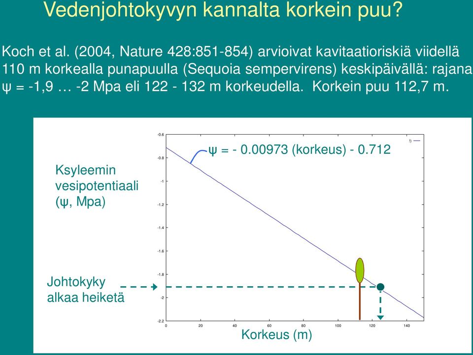sempervirens) keskipäivällä: rajana = -1,9-2 Mpa eli 122-132 m korkeudella. Korkein puu 112,7 m.