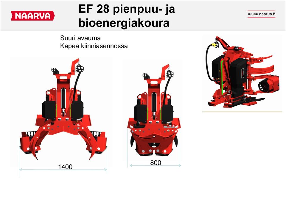 Suuri avauma Kapea