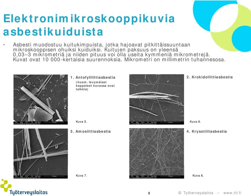 Kuitujen paksuus on yleensä 0,03 3 mikrometriä ja niiden pituus voi olla useita kymmeniä mikrometrejä.