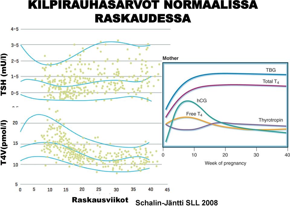 NORMAALISSA RASKAUDESSA