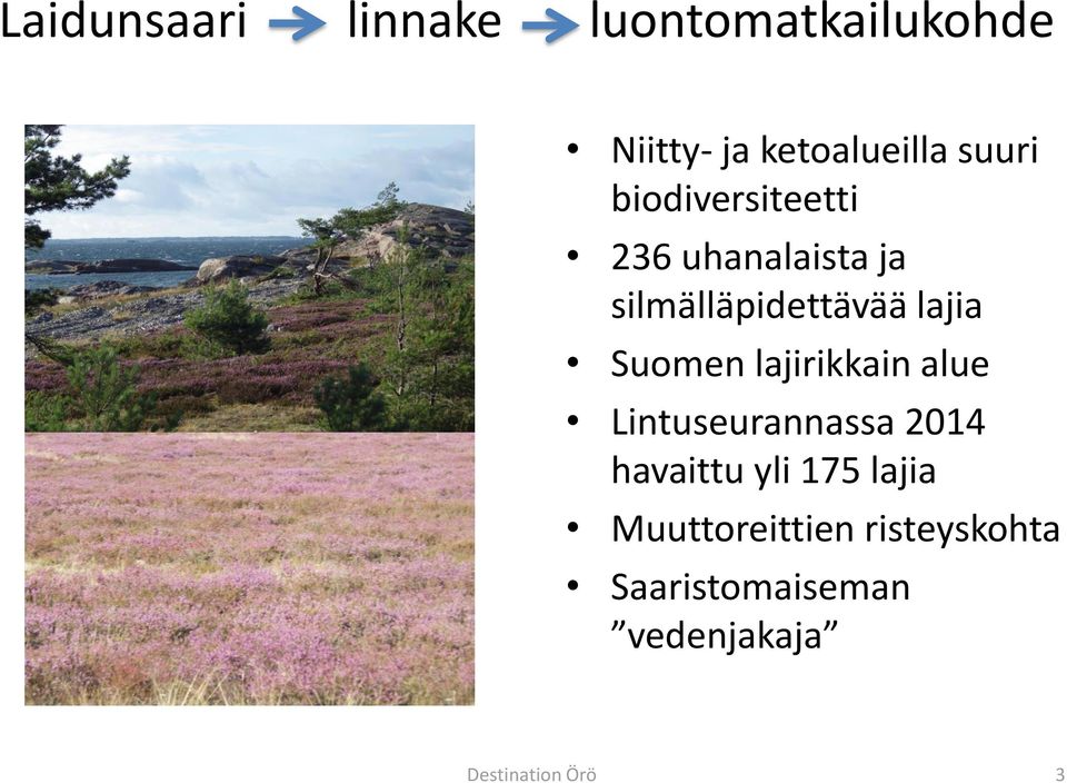 Suomen lajirikkain alue Lintuseurannassa 2014 havaittu yli 175 lajia