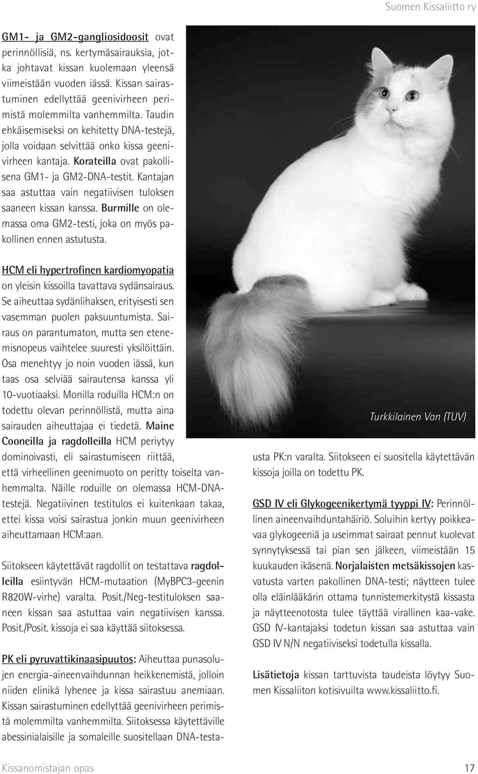 Korateilla ovat pakollisena GM1- ja GM2-DNA-testit. Kantajan saa astuttaa vain negatiivisen tuloksen saaneen kissan kanssa. Burmille on olemassa oma GM2-testi, joka on myös pakollinen ennen astutusta.