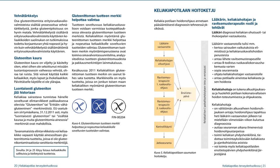 erityisruokavaliovalmisteita käyttävien. Gluteeniton kaura Gluteeniton kaura on viljelty ja käsitelty siten, ettei siihen ole sekoittunut missään tuotantoprosessin vaiheessa vehnää, ohraa tai ruista.