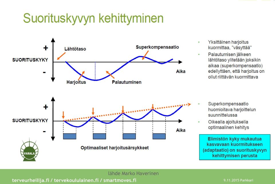 Haverinen