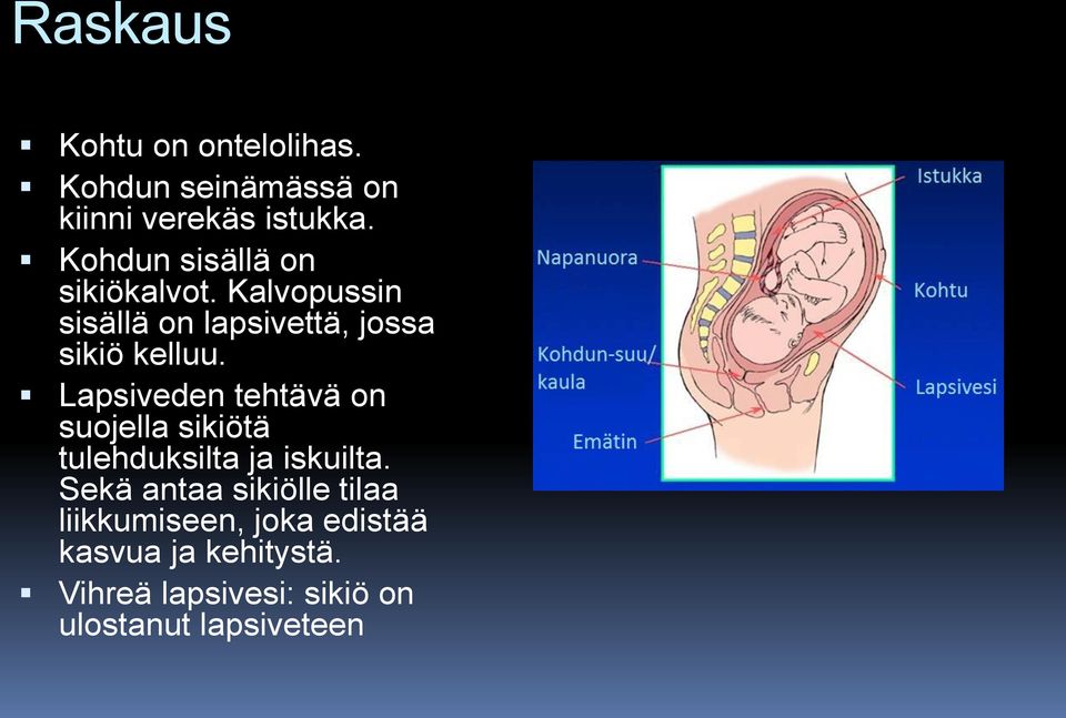 Lapsiveden tehtävä on suojella sikiötä tulehduksilta ja iskuilta.