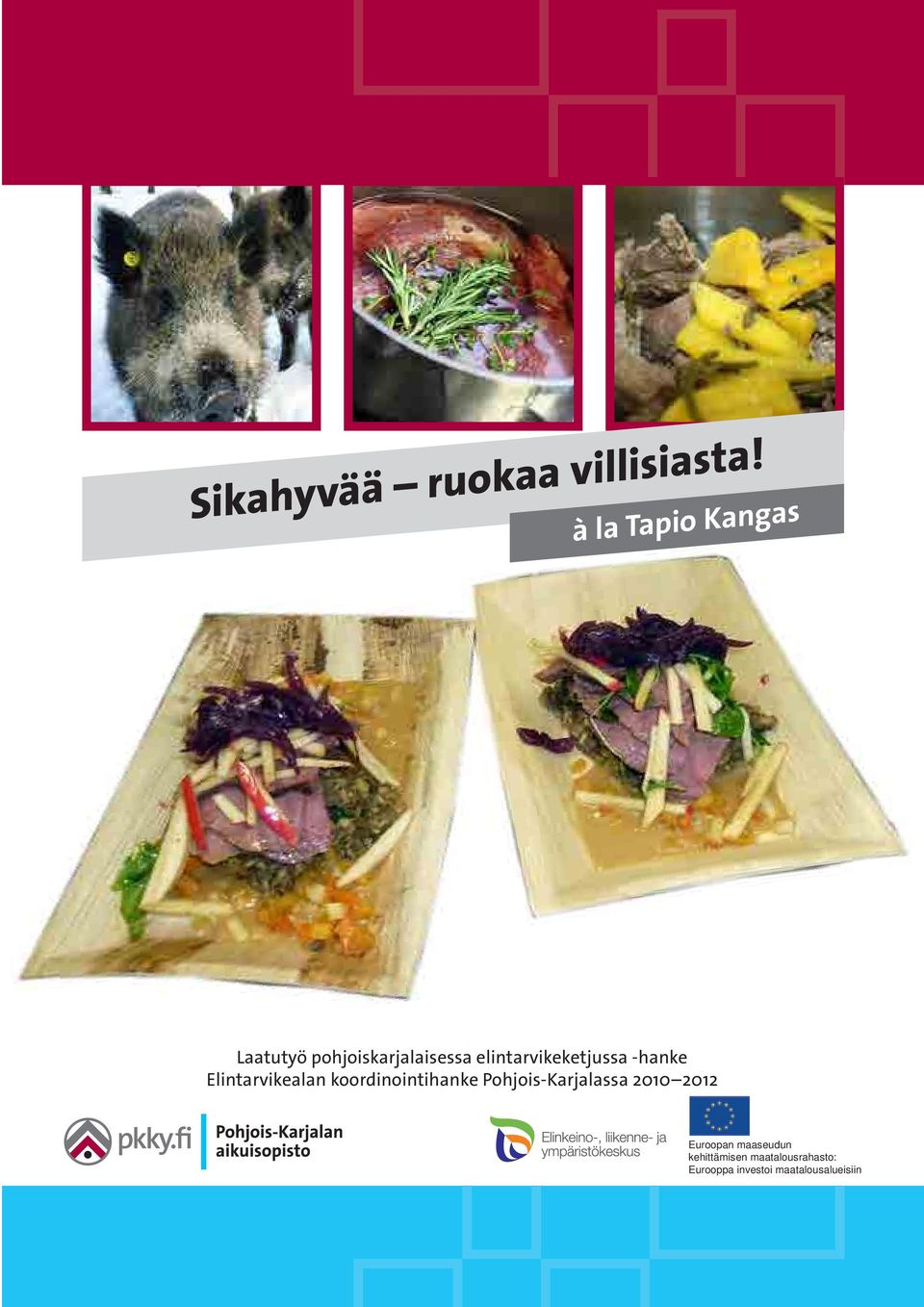 koordinointihanke Pohjois-Karjalassa 2010 2012 Euroopan
