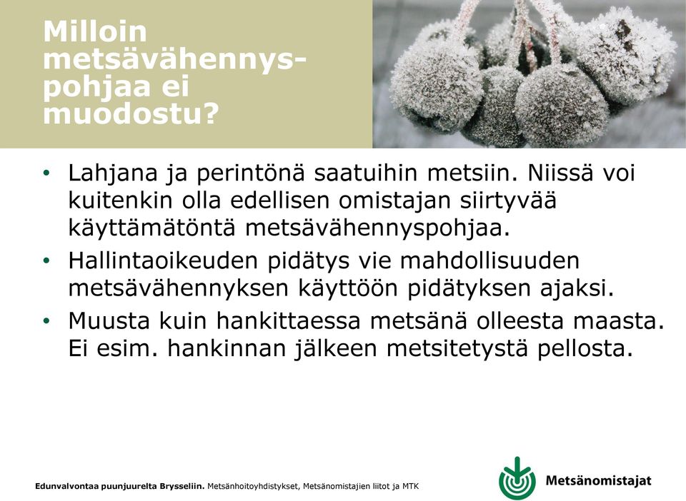 Hallintaoikeuden pidätys vie mahdollisuuden metsävähennyksen käyttöön pidätyksen ajaksi.