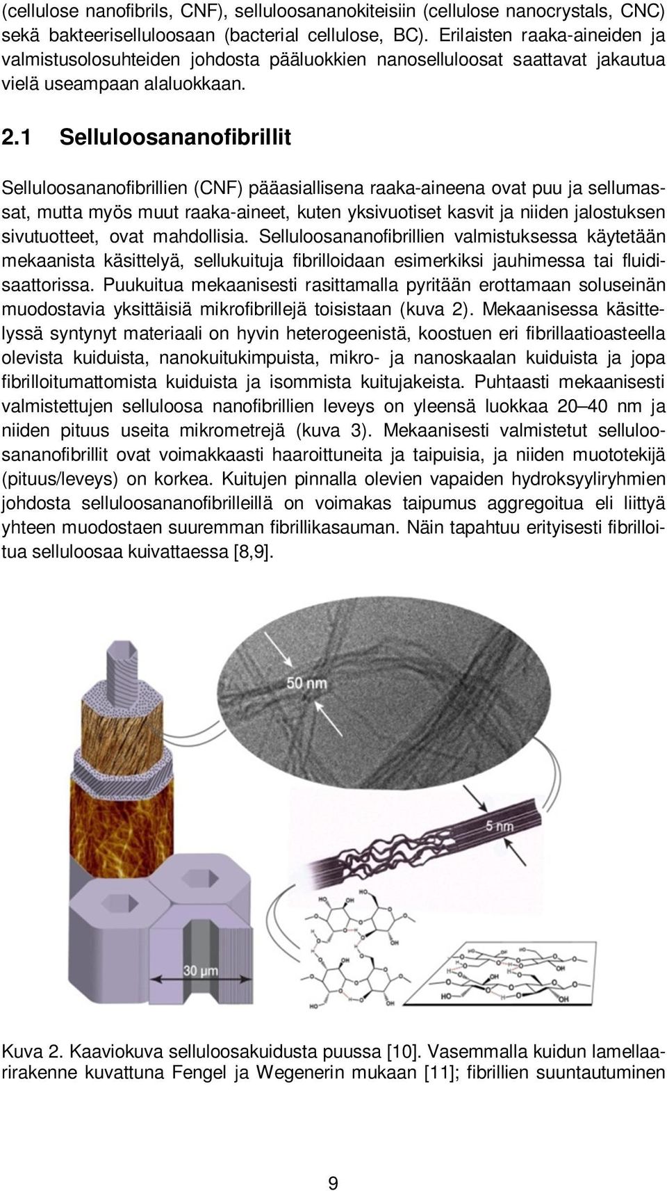 1 Selluloosananofibrillit Selluloosananofibrillien (CNF) pääasiallisena raaka-aineena ovat puu ja sellumassat, mutta myös muut raaka-aineet, kuten yksivuotiset kasvit ja niiden jalostuksen