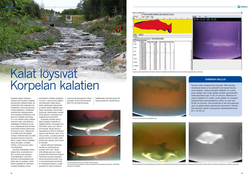 Yli 4 cm korkean kalan uidessa skannerin läpi, siitä tallentuu laitteeseen siluettikuva ja laskurin yhteydessä oleva kamera nauhoittaa kalasta videokuvaa 10 sekunnin ajan.