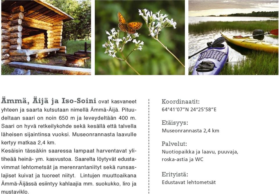 Kesäisin tässäkin saaressa lampaat harventavat ylitiheää heinä- ym. kasvustoa.