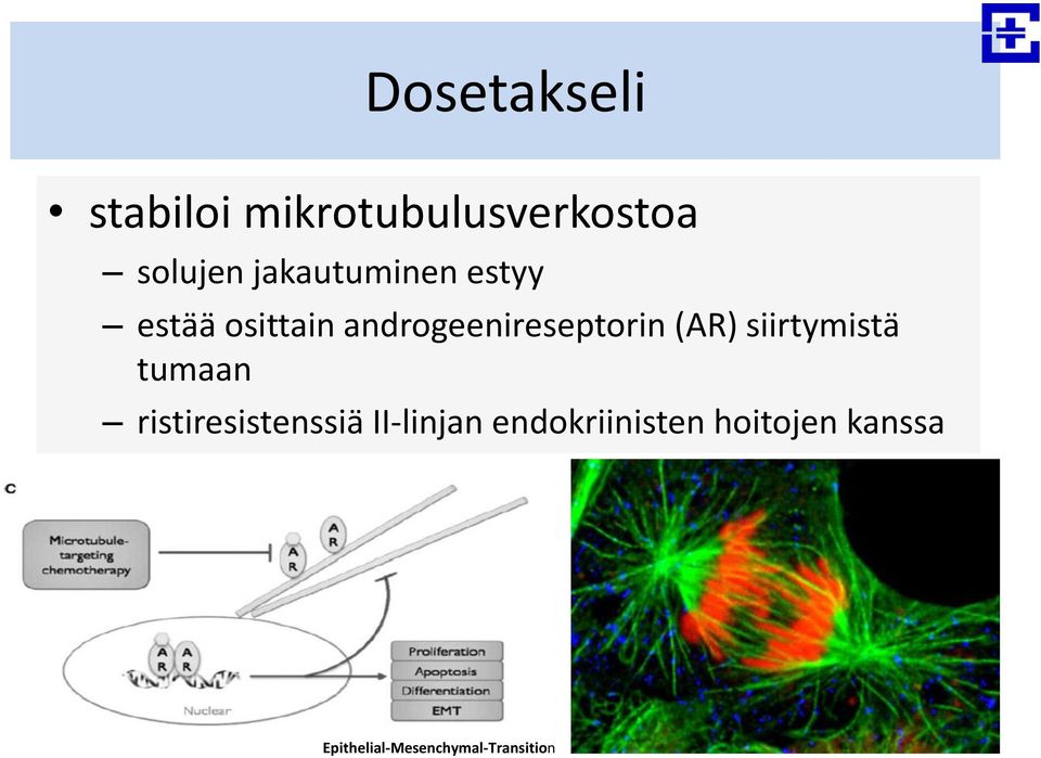 (AR) siirtymistä tumaan ristiresistenssiä II-linjan