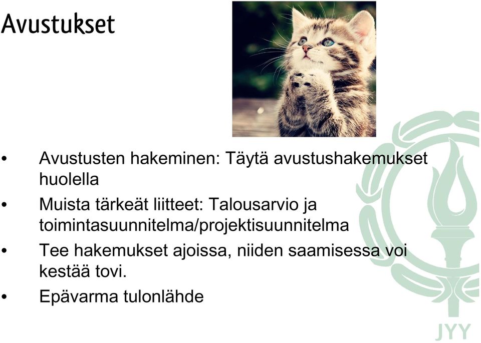 Talousarvio ja toimintasuunnitelma/projektisuunnitelma