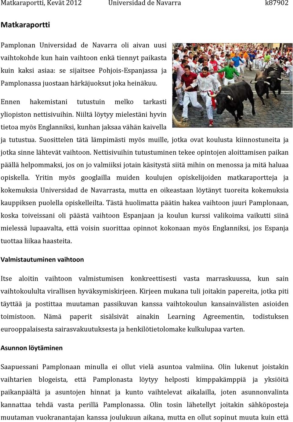 Suosittelen tätä lämpimästi myös muille, jotka ovat koulusta kiinnostuneita ja jotka sinne lähtevät vaihtoon.