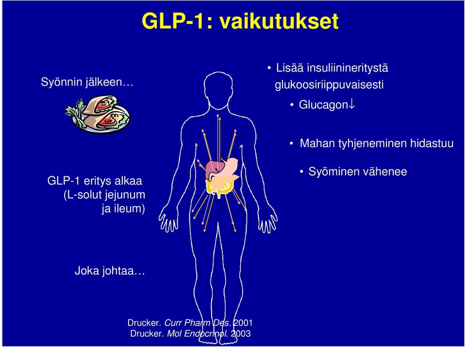 GLP-1 eritys alkaa (L-solut jejunum ja ileum) Syöminen vähenee