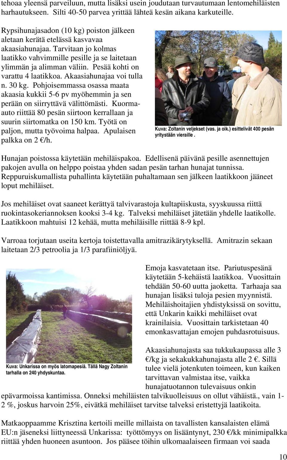 Pesää kohti on varattu 4 laatikkoa. Akaasiahunajaa voi tulla n. 30 kg. Pohjoisemmassa osassa maata akaasia kukkii 5-6 pv myöhemmin ja sen perään on siirryttävä välittömästi.