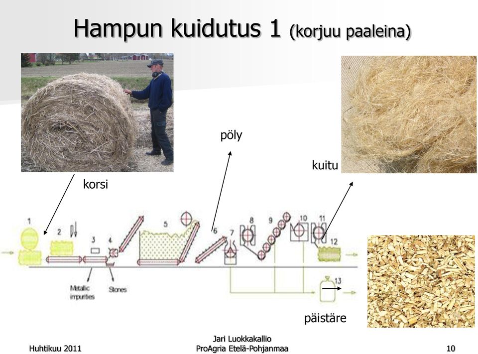 korsi kuitu päistäre