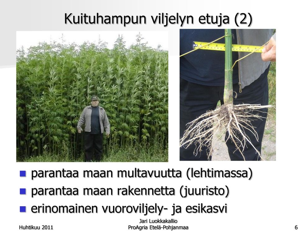 maan rakennetta (juuristo) erinomainen