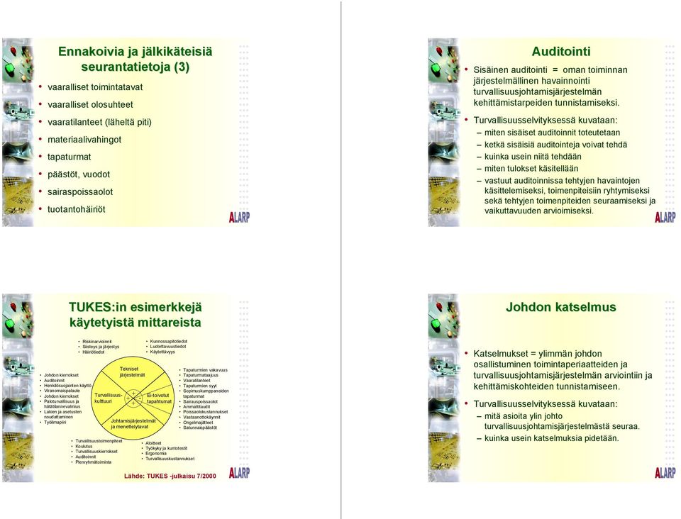 Turvallisuusselvityksessä kuvataan: miten sisäiset auditoinnit toteutetaan ketkä sisäisiä auditointeja voivat tehdä kuinka usein niitä tehdään miten tulokset käsitellään vastuut auditoinnissa