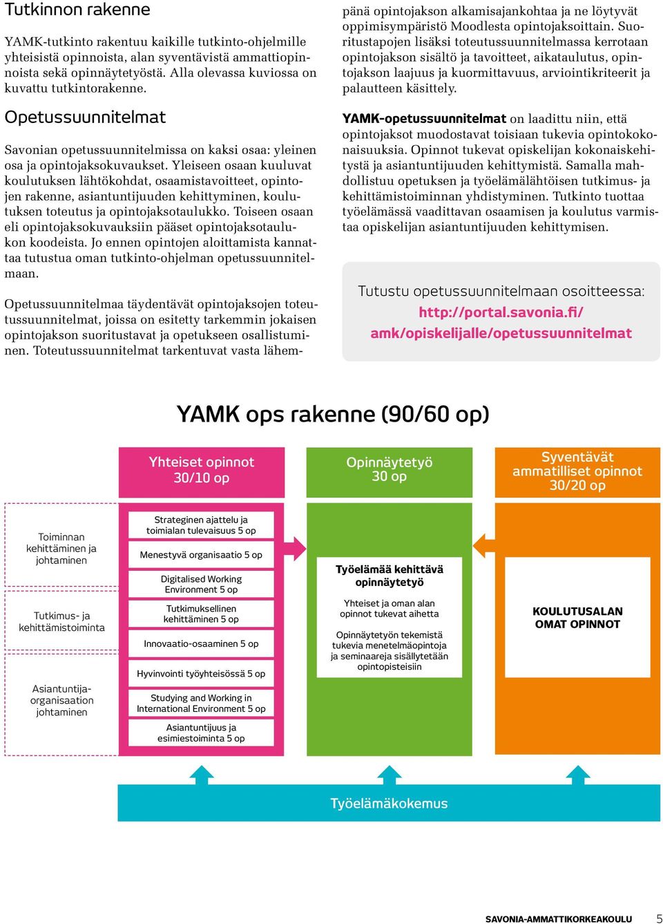 Yleiseen osaan kuuluvat koulutuksen lähtökohdat, osaamistavoitteet, opintojen rakenne, asiantuntijuuden kehittyminen, koulutuksen toteutus ja opintojaksotaulukko.