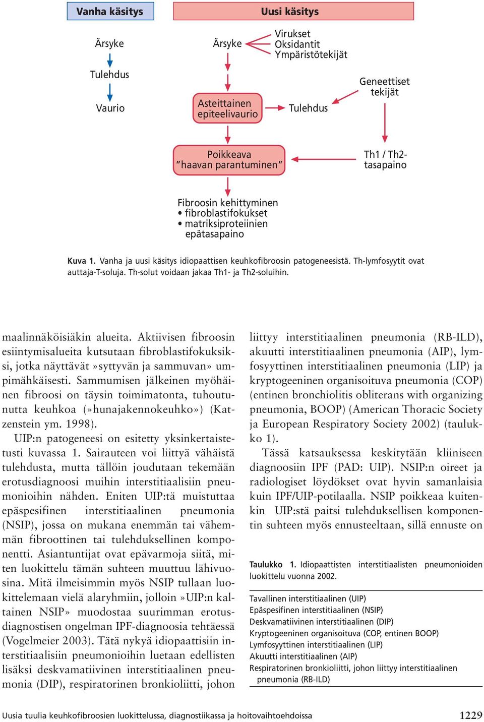 Th-solut voidaan jakaa Th1- ja Th2-soluihin. maalinnäköisiäkin alueita. Aktiivisen fibroosin esiintymisalueita kutsutaan fibroblastifokuksiksi, jotka näyttävät»syttyvän ja sammuvan» umpimähkäisesti.